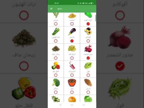 قائمة تسوق البقالة Video