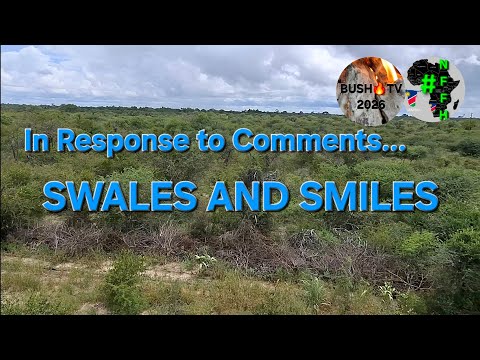 Swales: Water Conservation & Soil Regeneration Explored