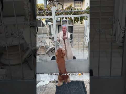 Όταν θες να δεις την γιαγιά
