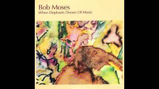 Bob Moses (with Sheila Jordan) - Happy To Be Here Today (When Elephants Dream Of Music, 1982)