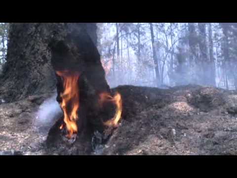 Huge Wildfire Burns Near 3 Small Towns in Calif.