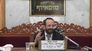הרב אליהו חיים פנחסי | כשרות הסלטים