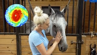 Hurricane IRMA Day 3 Evacuation: Reunited with my horse!