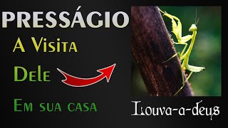 O Que Significa Quando Um Louva Deus Aparece