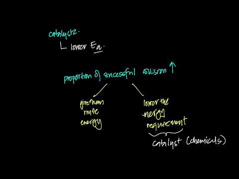 Rates of Reactions 2 | OL IGCSE Chemistry