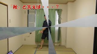 【再投稿】【REFLEC BEAT ＆ pop'n music】『秋の２点セット』で踊ってみた。