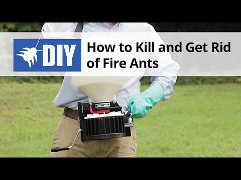  How to Kill & Get Rid of Fire Ants - Fire Ant Control & Treatment Instructions  Video 