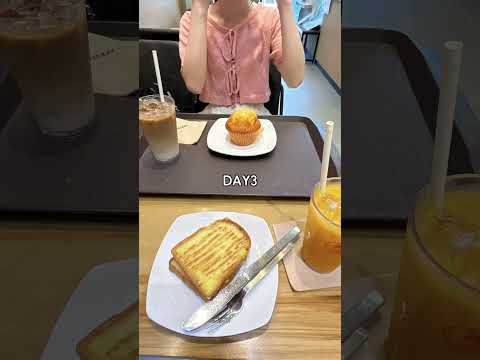 国際文化学科 ほし☆たびKOREA2024