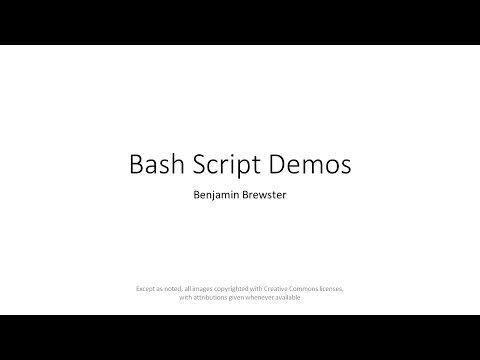 1.4 Bash Script Demos