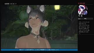 [FFXIV]ギャザクラメンターはただただ作業したい[9][無人島開拓]
