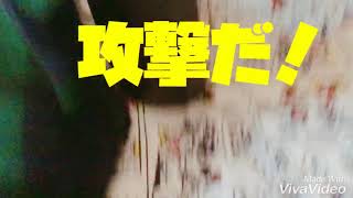ミルキー遊んでます♡