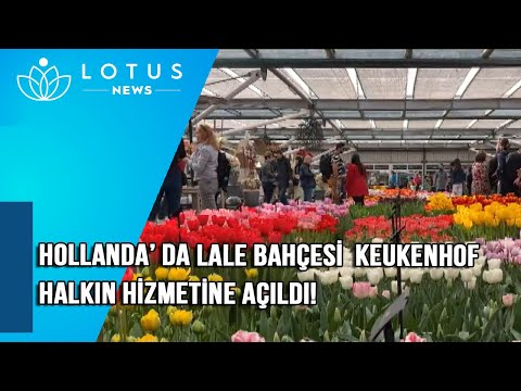HOLLANDA’ DA LALE BAHÇESİ  KEUKENHOF HALKIN HİZMETİNE AÇILDI!