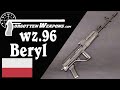 wz.96 Beryl: Poland's 5.56mm Military AK