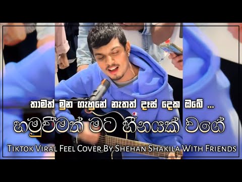 හීනයක් වගේ | Heenayak Wage Tiktok Viral Cover By Shehan Shakila With Friends