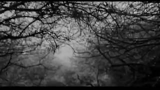 James Blackshaw - We Who Stole The Dream