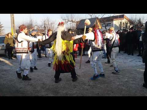 Plugul de la Bahnisoara 31-12-2016