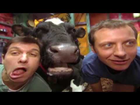 🐘 Zoboomafoo with the Kratt Brothers! HD | Full Episodes Compilation 🐘