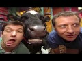 Zoboomafoo With The Kratt Brothers HD Full Episodes Compilation