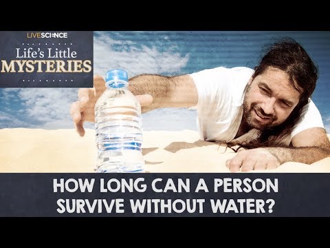 3rd YouTube video about how long can snakes go without water