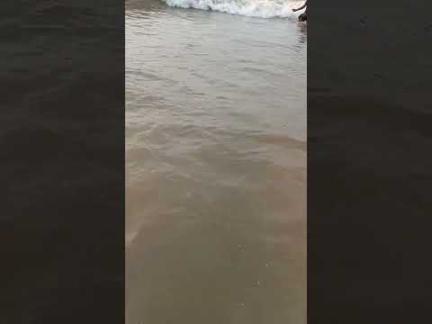 bapatla beach crack enjoy Hanif bhai