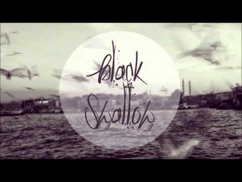 Sinoptik Music - Black Swallow
