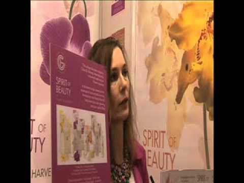 vv - spirit of beauty.flv