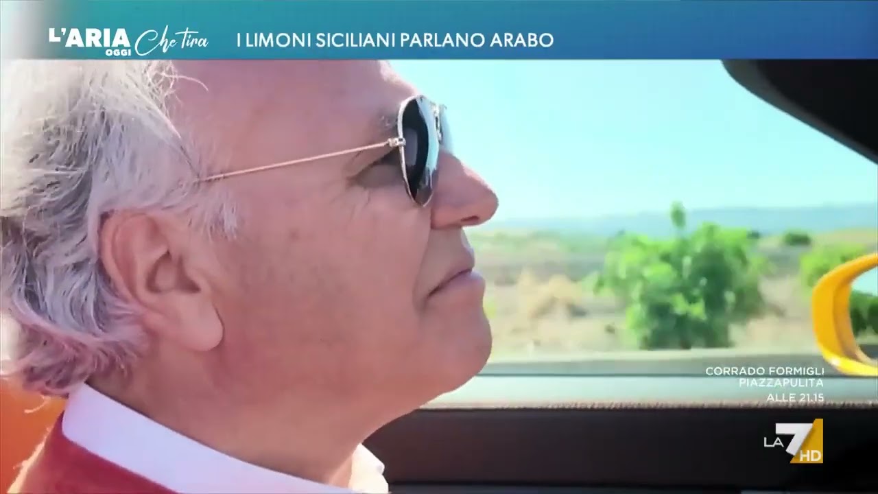 I limoni siciliani parlano arabo
