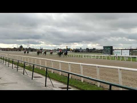 Dama de Ferro - Polla de Potrancas