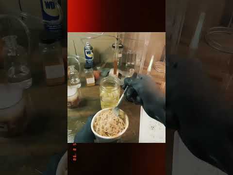 نودلز بنكهة الشمس #shorts