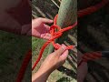 The EASIEST Way to tie Bowline - The KING of Knots!