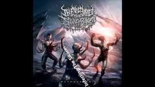 Download lagu THE Best 20 Brutal Death Metal Bands mp3 Download lagu THE Best 20 Brutal Death Metal Bands mp3
