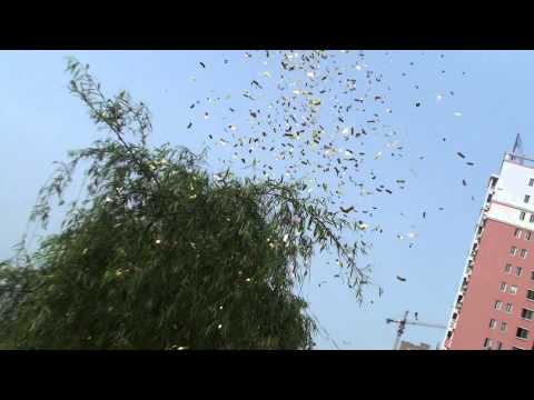 Friend Fireworks Handle Confetti