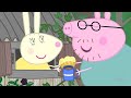 Peppa Pig S04E48 The Fish Pond