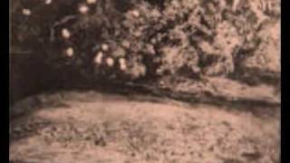 bene-Francesco De Gregori by Funambolo