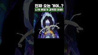 원피스) 니카 루피가 경악한 이유! #onepiece #원피스