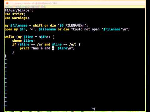 Beginner Perl Maven tutorial: 8.15 - solution regexes 2