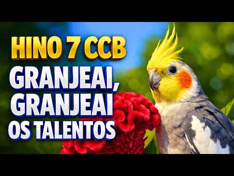 HINO 7 CCB - Granjeai, Granjeai os Talentos - HINÁRIO 5 - Hino Cantado COM LETRA - Hinos