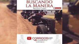 Regulo Caro   Buscando La Manera   En Vivo 2016