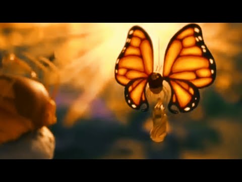 **Oscar Nominated**3D Animated Short:"Sweet Cocoon"by 2023?اردو ڈابینگ.#farooq406