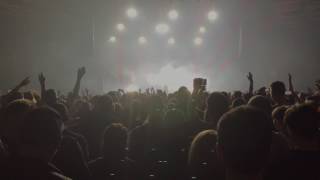 Palmen aus Plastik Tour Berlin - maxwell Stress mit mir