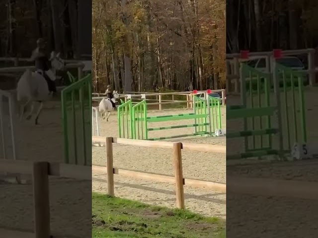 Ponette PFS de 7 ans