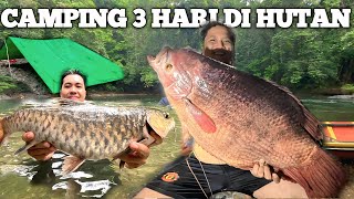 Download lagu Camping Hujan deras 3 hari Fishing Pertualangan Bermalam di hutan Masak dan makan ikan Mahseer mp3 Download lagu Camping Hujan deras 3 hari Fishing Pertualangan Bermalam di hutan Masak dan makan ikan Mahseer mp3