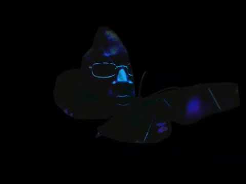 Biggo Luchini - Pick It Up ( Visualizer )