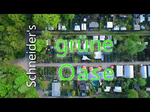 GartenBaumschule Schneider YouTube-Vdeominiatur 5