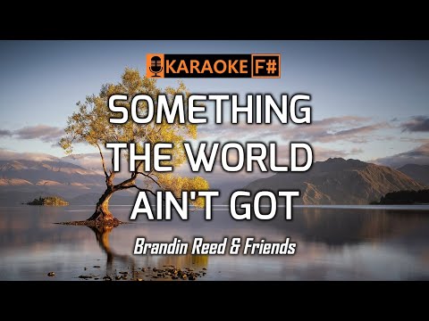 SOMETHING THE WORLD AIN'T GOT - Brandin Reed | KARAOKE