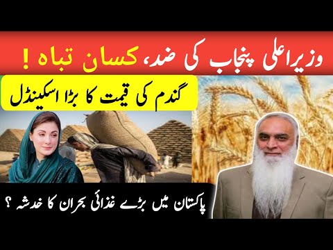 Big scandal of wheat price!Gandum ki qeemat ka bara scandal