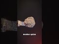 Is Deflecting Killer Asteroids Impossible? 😨