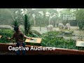 Captive Audience Trailer | SGIFF 2025