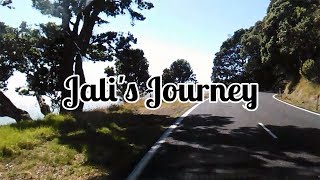 Jali&#39;s Journey
