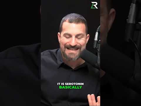 The Truth About Serotonin Supplements | Dr. Andrew Huberman #neuroscience #shorts #podcast